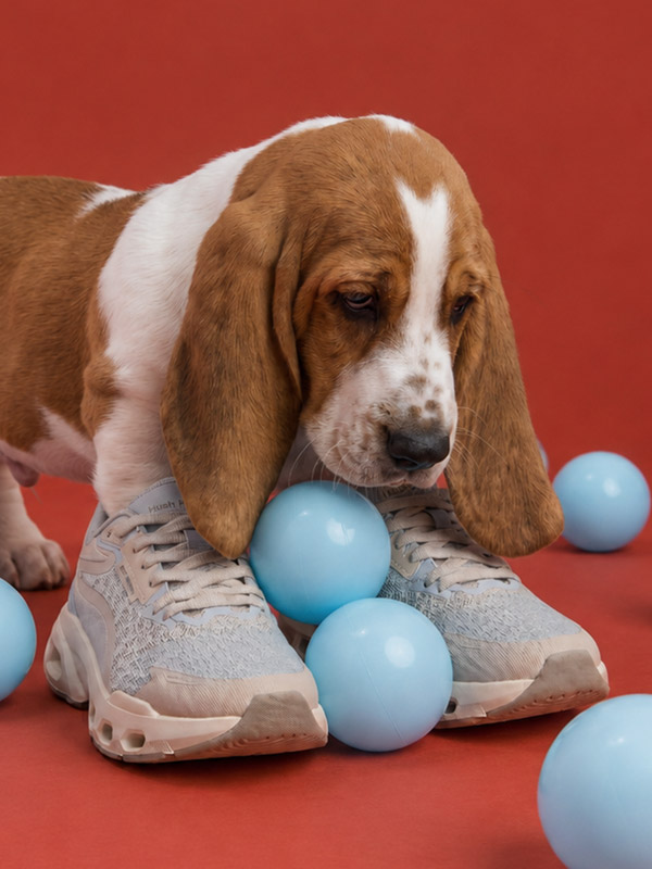 Hush Puppies Easy Walk